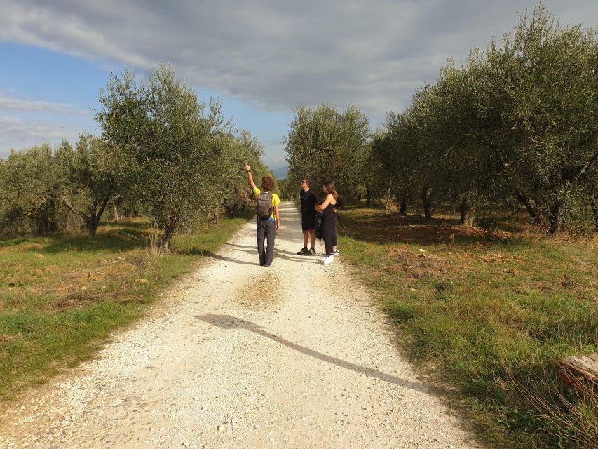 Tuscany Hills Bike Tour with Lunch at farm and Wine Tasting - Two hours through the Chianti Classico hills