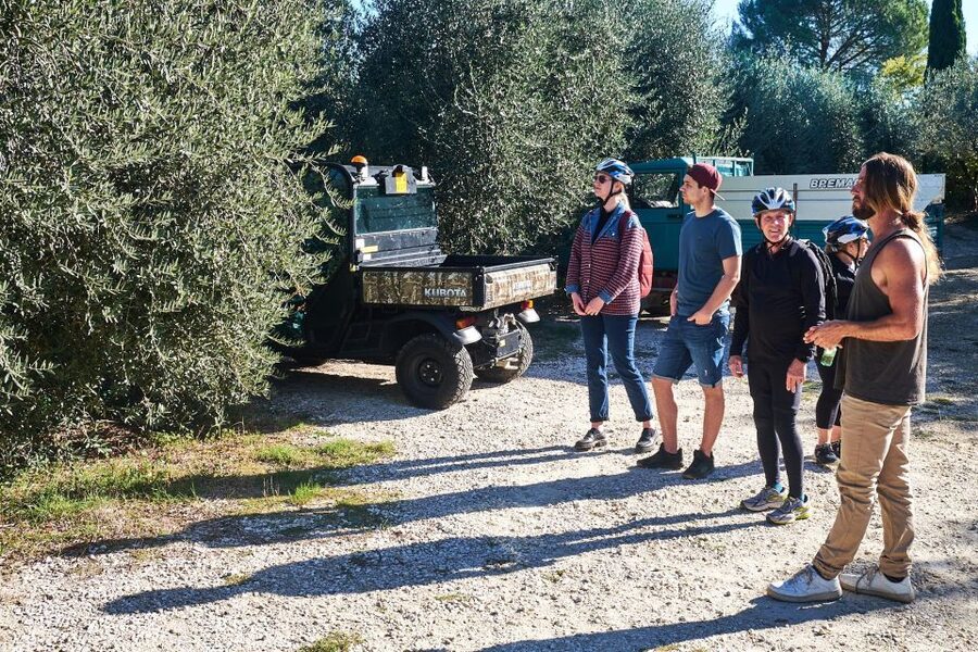 Tuscany Hills Bike Tour with Lunch at farm and Wine Tasting - Who should choose this ride?