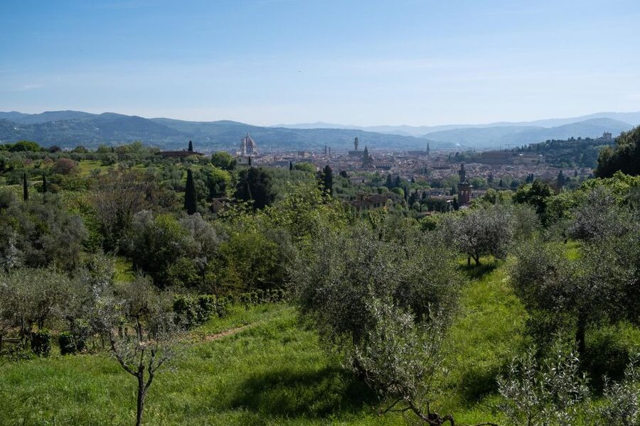 Tuscany Hills Bike Tour with Lunch at farm and Wine Tasting - Leaving Florence from Via del Campuccio
