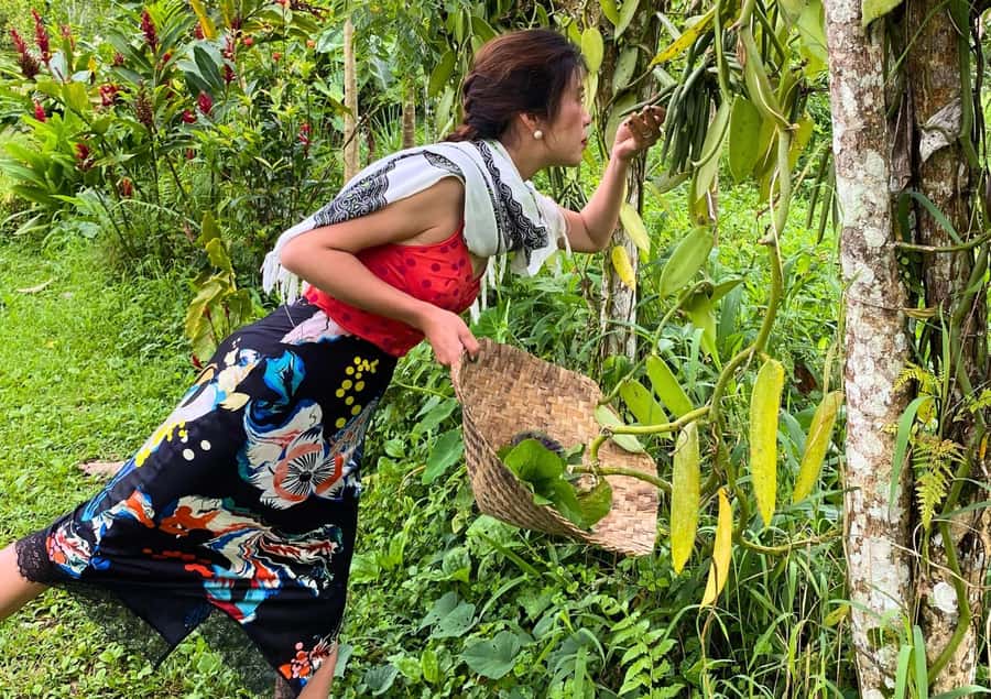 Ubud: Balinese Cooking Class at an Organic Farm - The ride from Ubud is part of the day