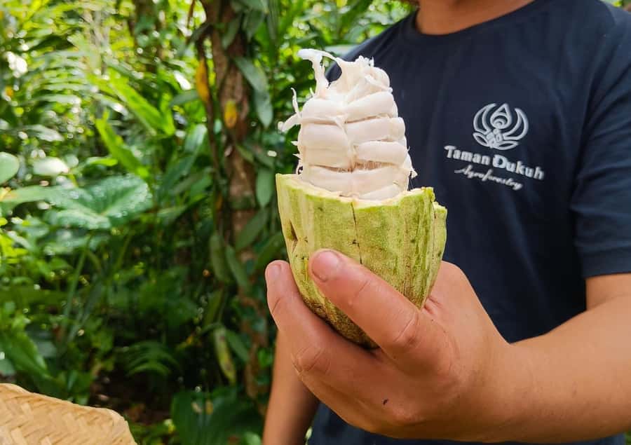 Ubud: Balinese Cooking Class at an Organic Farm - The morning market adds real local flavor
