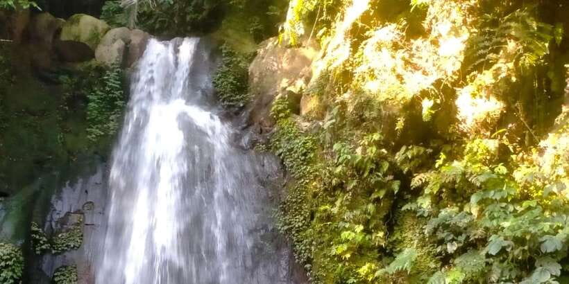 Ubud Eco-Adventure: Farm, Rice Terraces, River & Dance Show! - Tegallalang adds food and a scenic pause