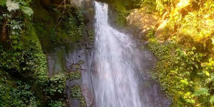 Ubud Eco-Adventure: Farm, Rice Terraces, River & Dance Show! - What the $51 price covers