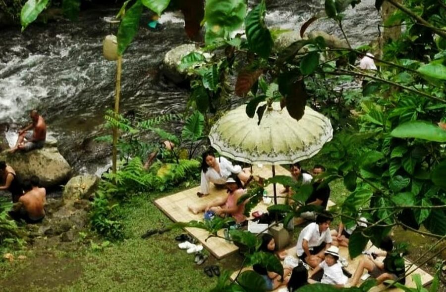 Ubud Eco-Adventure: Farm, Rice Terraces, River & Dance Show! - The guide service is a major part of the experience