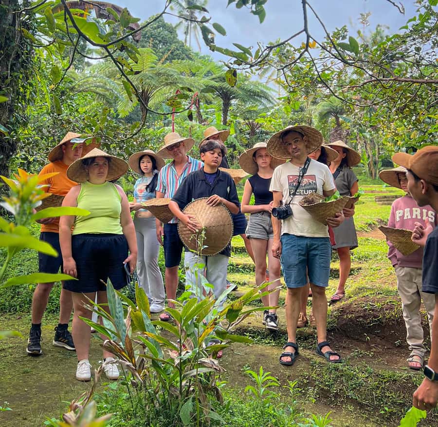 Ubud: Organic Farm Harvest, Bali Cooking Class by Pemulan - Picking Vegetables at the Organic Farm