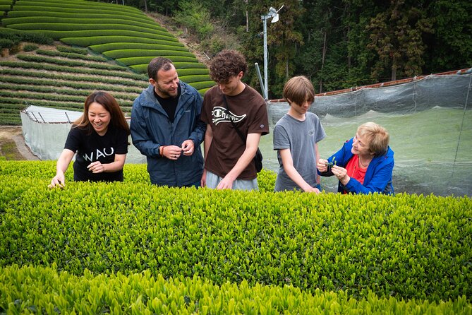 Uji and Wazuka Matcha Farm Half Day Private Guided Tour - Starting beside the Uji River