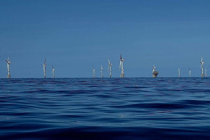 Unforgettable sea trip to the wind farms in the North Sea - What the boat ride feels like