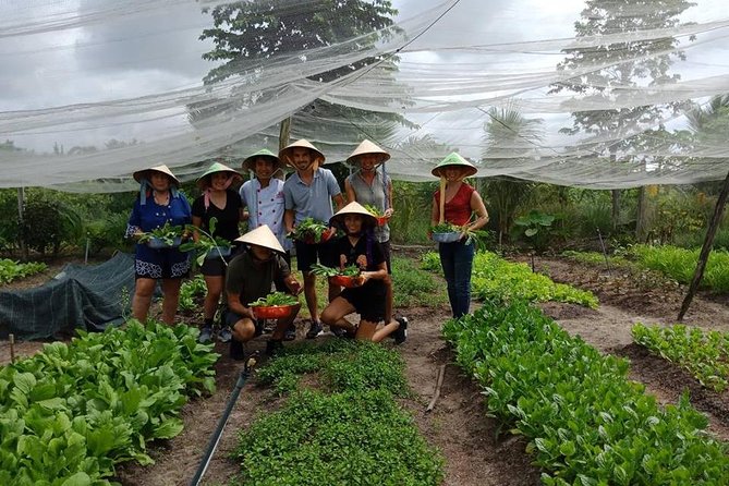 Unique farm to Table cooking class in Saigon - Hotel Pickup and the Long Ride North