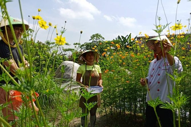 Unique farm to Table cooking class in Saigon - A Hands-On Kitchen With Smart Preparation