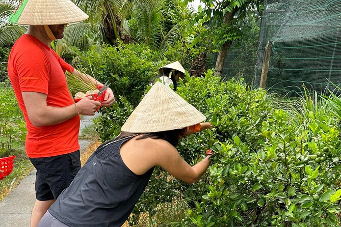 Unique Farm to Table Cooking Class with Top Chef in Vietnam - Turning farm produce into Vietnamese dishes