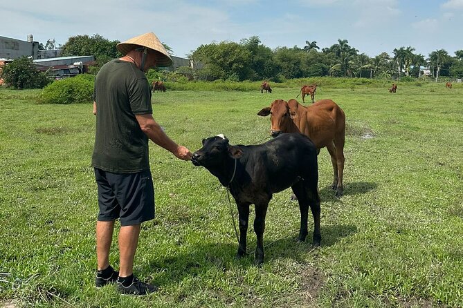 Unique Farm to Table Cooking Class with Top Chef in Vietnam - The $67 question: good value for a full day