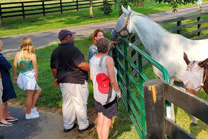 Unique Horse Farm Tours with Insider Access to Private Farms - Why Lexington horse country feels different