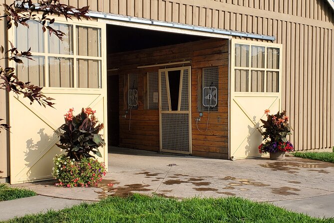 Unique Horse Farm Tours with Insider Access to Private Farms - The Thoroughbred Center and swimming yearlings