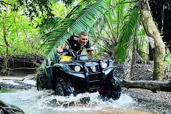 Unique Pineapple Farm Tour on 4 wheels - Key points to know before booking