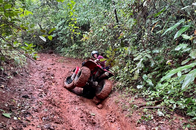 Unique Pineapple Farm Tour on 4 wheels - Who should book this adventure