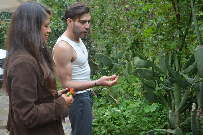 Urban Orchard in Desierto de los Leones in Mexico City - Why this orchard visit feels different from a normal garden tour