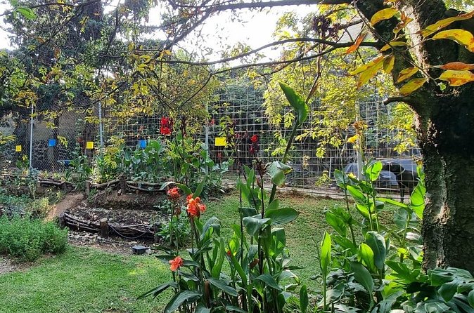 Urban Orchard in Desierto de los Leones in Mexico City - What $75 buys you, and who gets the best value