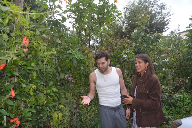 Urban Orchard in Desierto de los Leones in Mexico City - Practical details that shape the day