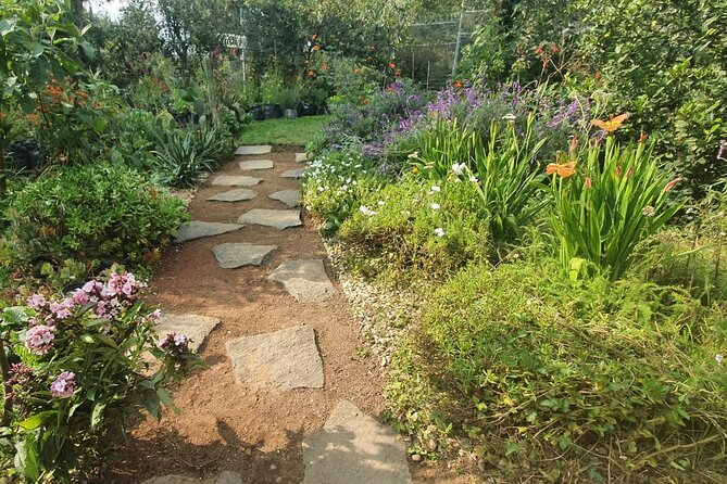 Urban Orchard in Desierto de los Leones in Mexico City - Meeting the orchard and its gardeners