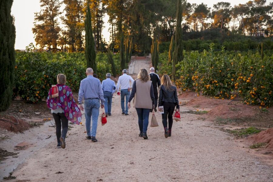 Valencia: Orange Farm and Orchard Trip with Tastings - Key things to know before you go