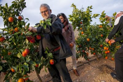 Orange Farm and Orchard Trip with Tastings