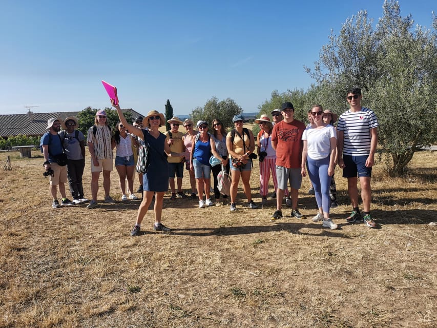Valensole : Visit of a winery and lavender farm - Arriving at the old stone estate