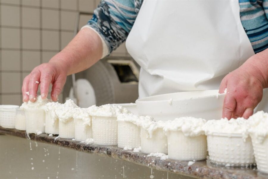 Vico Equense: Tour in the dairy "Mozzarella Experience" - Key points to know before you book
