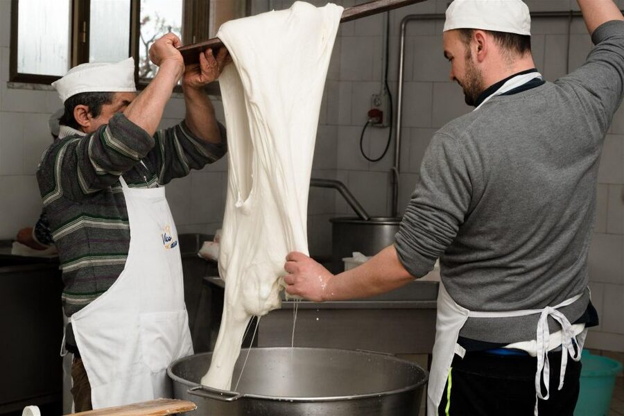 Vico Equense: Tour in the dairy "Mozzarella Experience" - What this Vico Equense dairy visit is really like