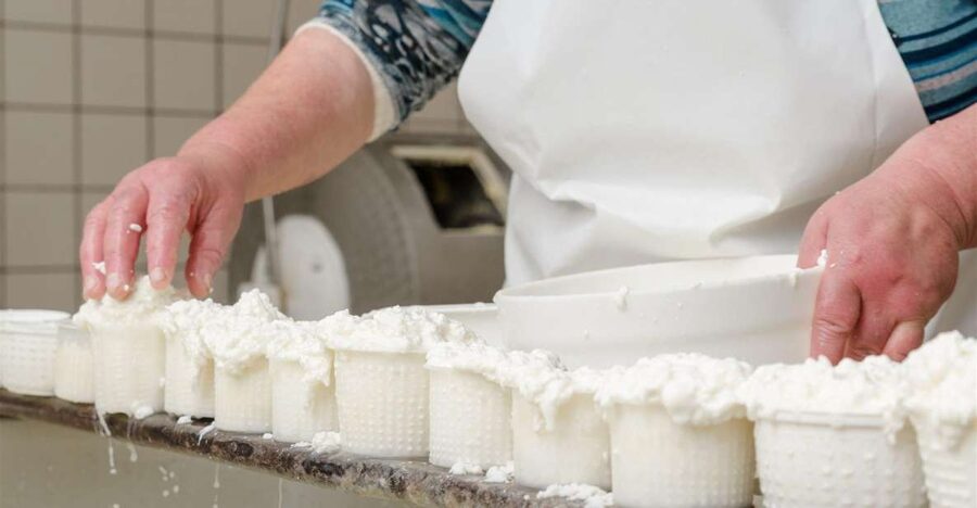 Vico Equense: Tour in the dairy "Mozzarella Experience" - The uphill approach from Vico Equense