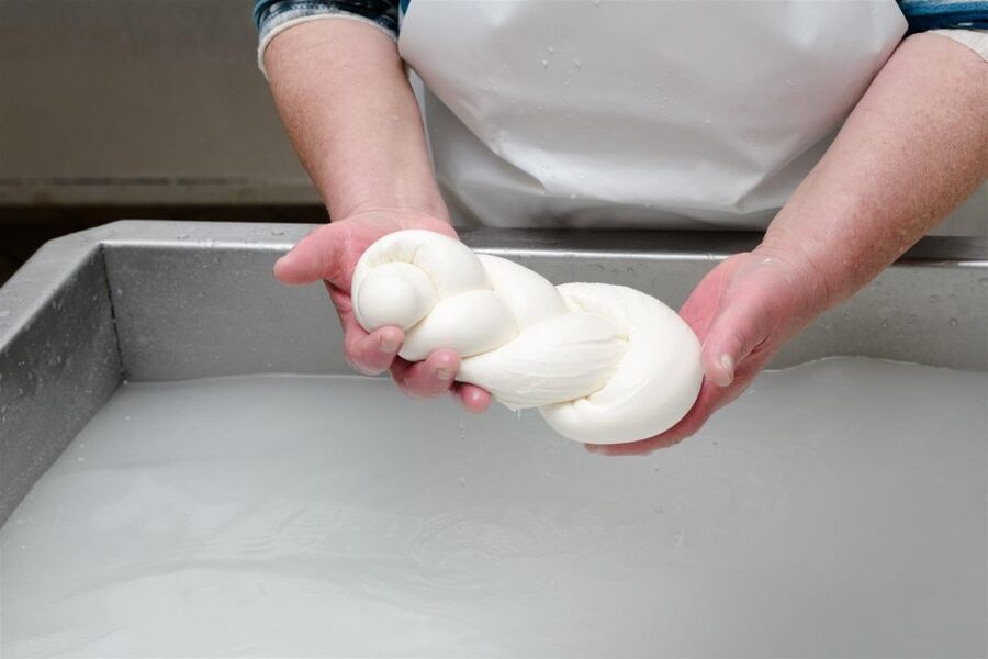 Vico Equense: Tour in the dairy "Mozzarella Experience" - What the experience suits best