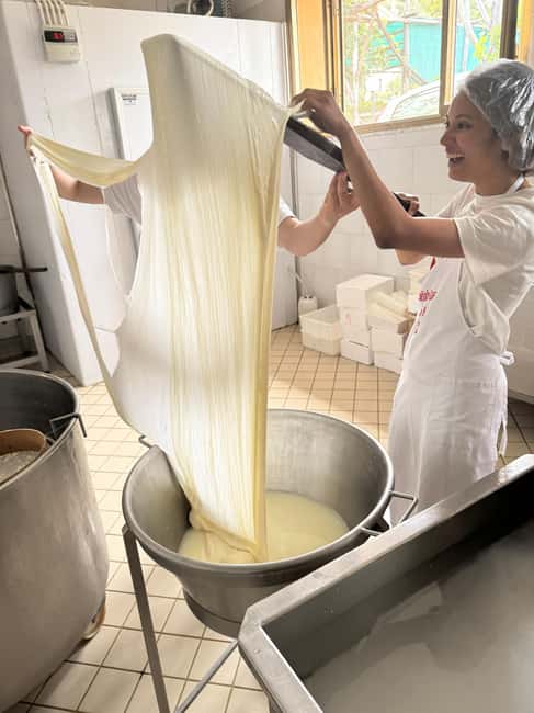 Vico Equense: Tour in the dairy "Mozzarella Experience" - Rain, accessibility, and the practical details