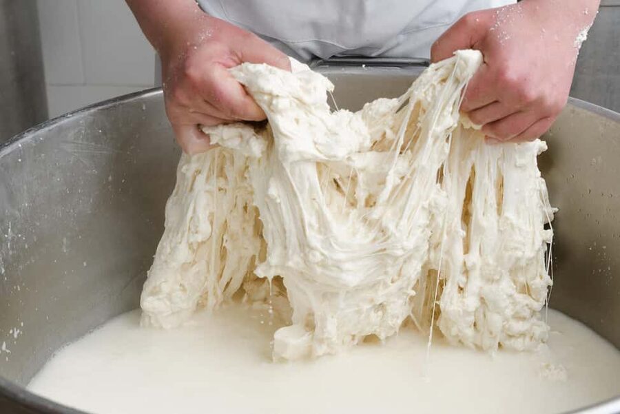 Vico Equense: Tour in the dairy "Mozzarella Experience" - Is $80 a fair price?