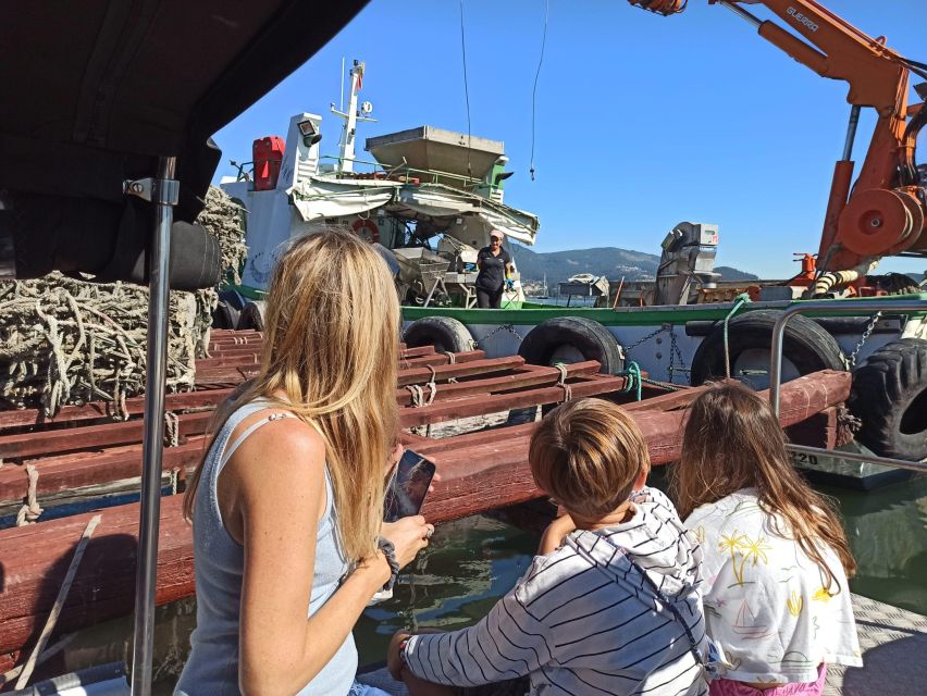 Vigo: Bay of San Simón Mussel Farming Tour - Seeing the mussel rafts in the Vigo estuary