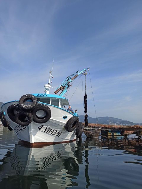 Vigo: Bay of San Simón Mussel Farming Tour - A short stop at Meirande Museum