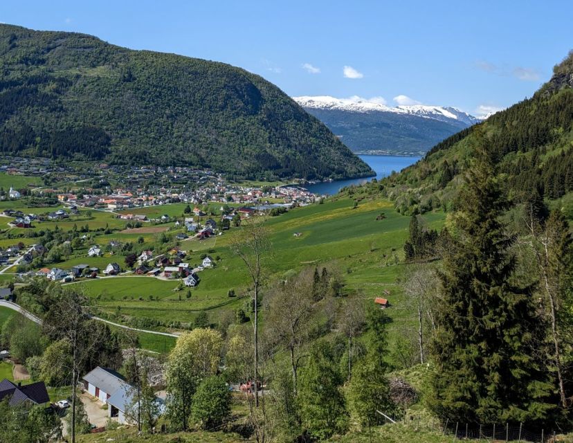 Vik i Sogn: Authentic Farm Visit - What makes the Steim visit special