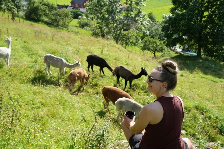Vik i Sogn: Authentic Farm Visit - Goats, sheep, horses, and the chance of baby animals