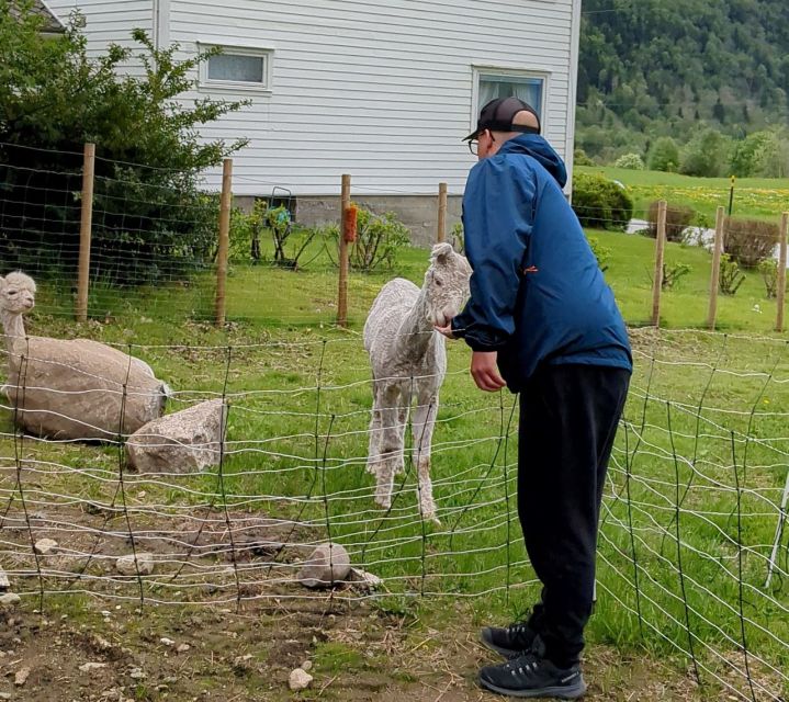 Vik i Sogn: Authentic Farm Visit - Who will enjoy this farm visit most?