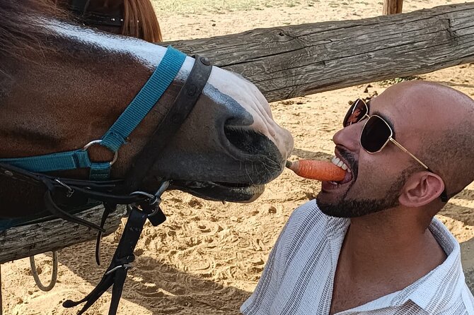 Visit a Farm and Horseback Riding in Nature - What the $102.56 price really covers