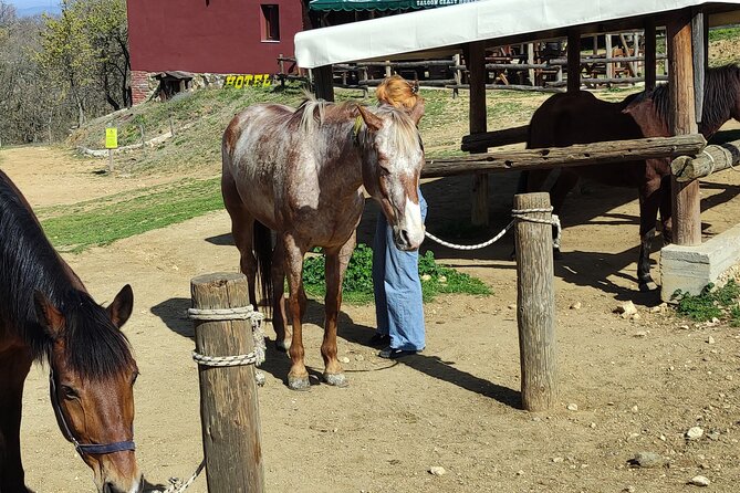 Visit a Farm and Horseback Riding in Nature - Timing, weather, and practical planning