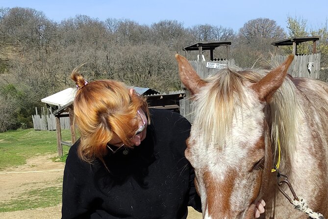 Visit a Farm and Horseback Riding in Nature - Meeting the farm animals before the ride