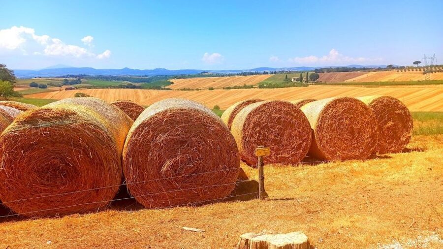 Visit Siena and San Gimignano with lunch at a family farm - The best parts of this Tuscany day