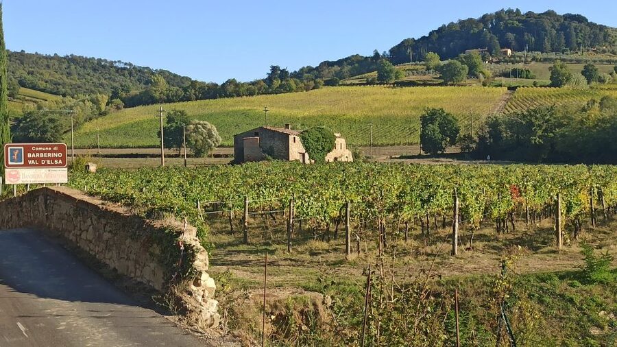 Visit Siena and San Gimignano with lunch at a family farm - San Gimignano and its famous medieval towers