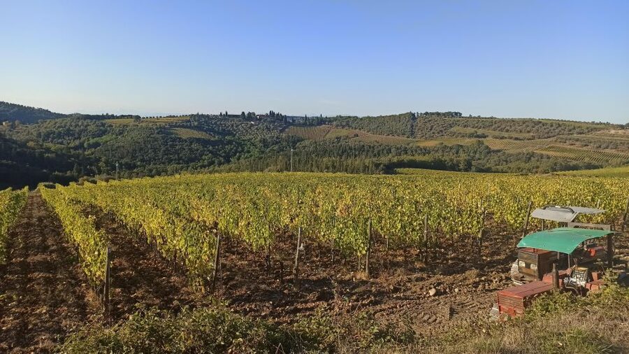 Visit Siena and San Gimignano with lunch at a family farm - Guides, language, and the private format