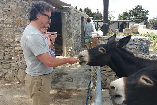 Visit the Mykonian Farm in Mykonos - Key points to know before booking