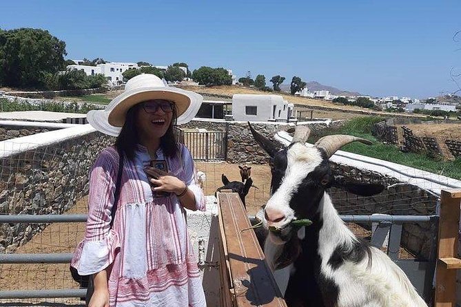 Visit the Mykonian Farm in Mykonos - Ano Mera and Panagia Tourliani monastery