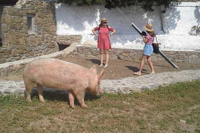 Visit the Mykonian Farm in Mykonos - Pickup details that can affect the afternoon