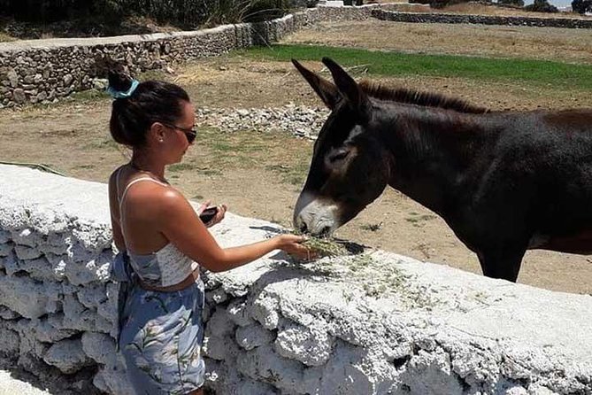 Visit the Mykonian Farm in Mykonos - Who will enjoy this outing most