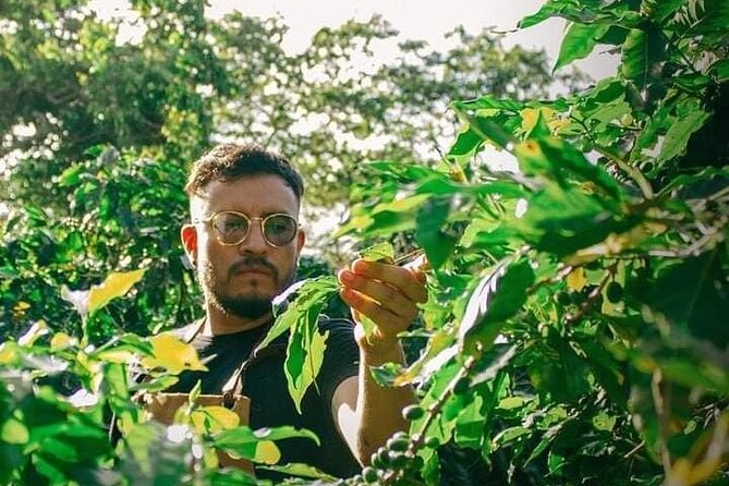 Visit to Coffee Farm with Tasting in Coatepec - Starting at the Museo del Café Coatepec