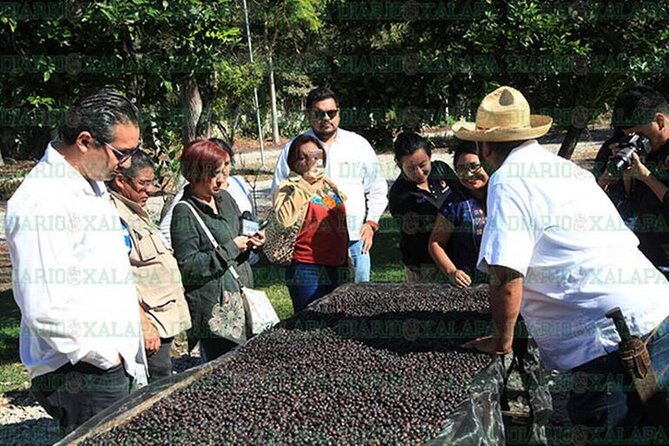 Visit to Coffee Farm with Tasting in Coatepec - The guide style and pace
