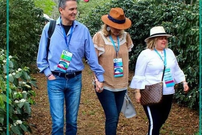 Visit to Coffee Farm with Tasting in Coatepec - The seedbed: where the coffee story begins